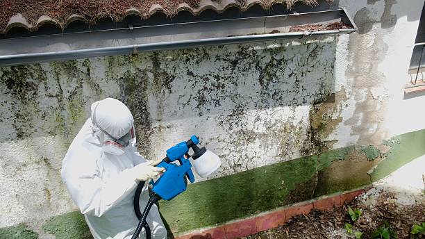 Top rated local Mold Testing specialists in Newville, PA